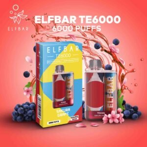 Elf Bar TE 6000 Puffs Vape India