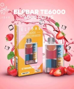 Elf bar Te6000 puffs vape india at best price