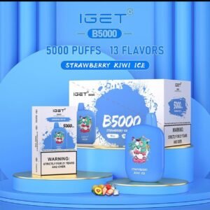 IGET B5000 puffs India Vape Rechargeable Disposable 