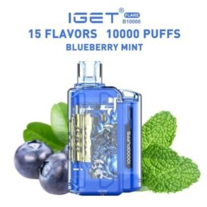 IGET FLARE B10000 Rechargeable Vape (10000 Puffs)