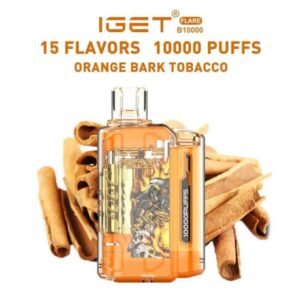 Rechargeable Vape 10000 Puffs