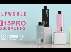 ELF WORLD i15 12000 Puffs India